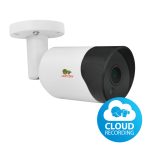 Partizan IPO-2SP SE v4.5 Cloud