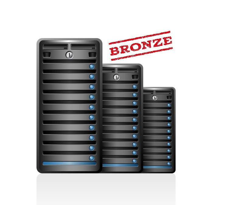 virtual-bronze.jpg VIRTUAL SERVER 02 BRONSE - Image 1
