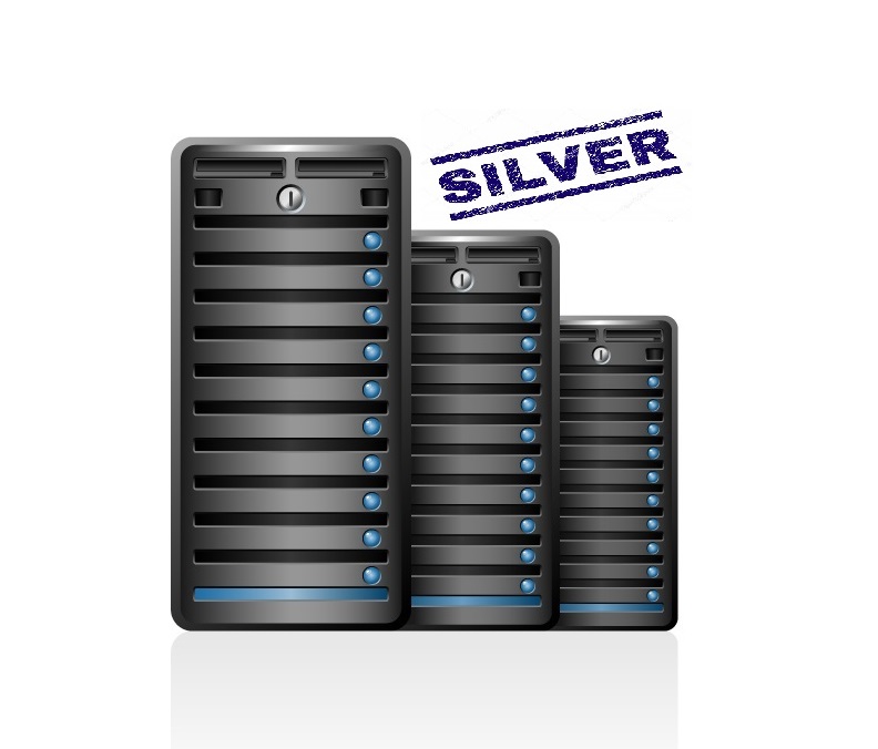 virtual-silver.jpg VIRTUAL SERVER 03 SILVER - Image 1